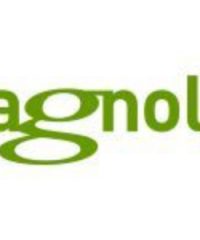 Magnolia CMS