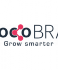 chocoBRAIN Marketing