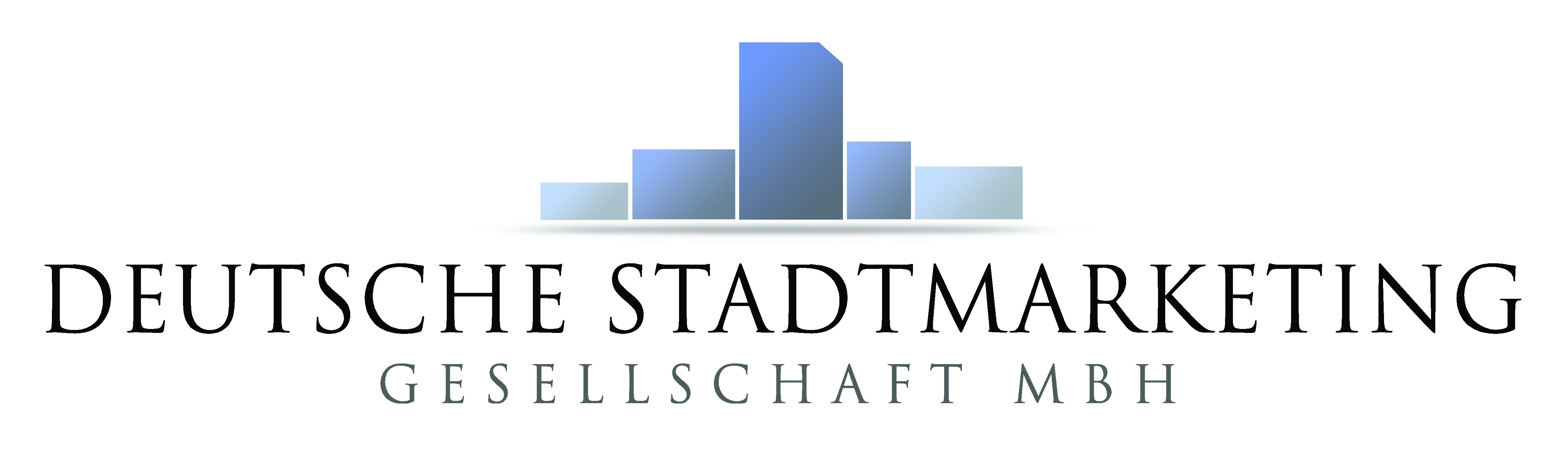 Deutsche Stadtmarketing Gesellschaft: go-digital