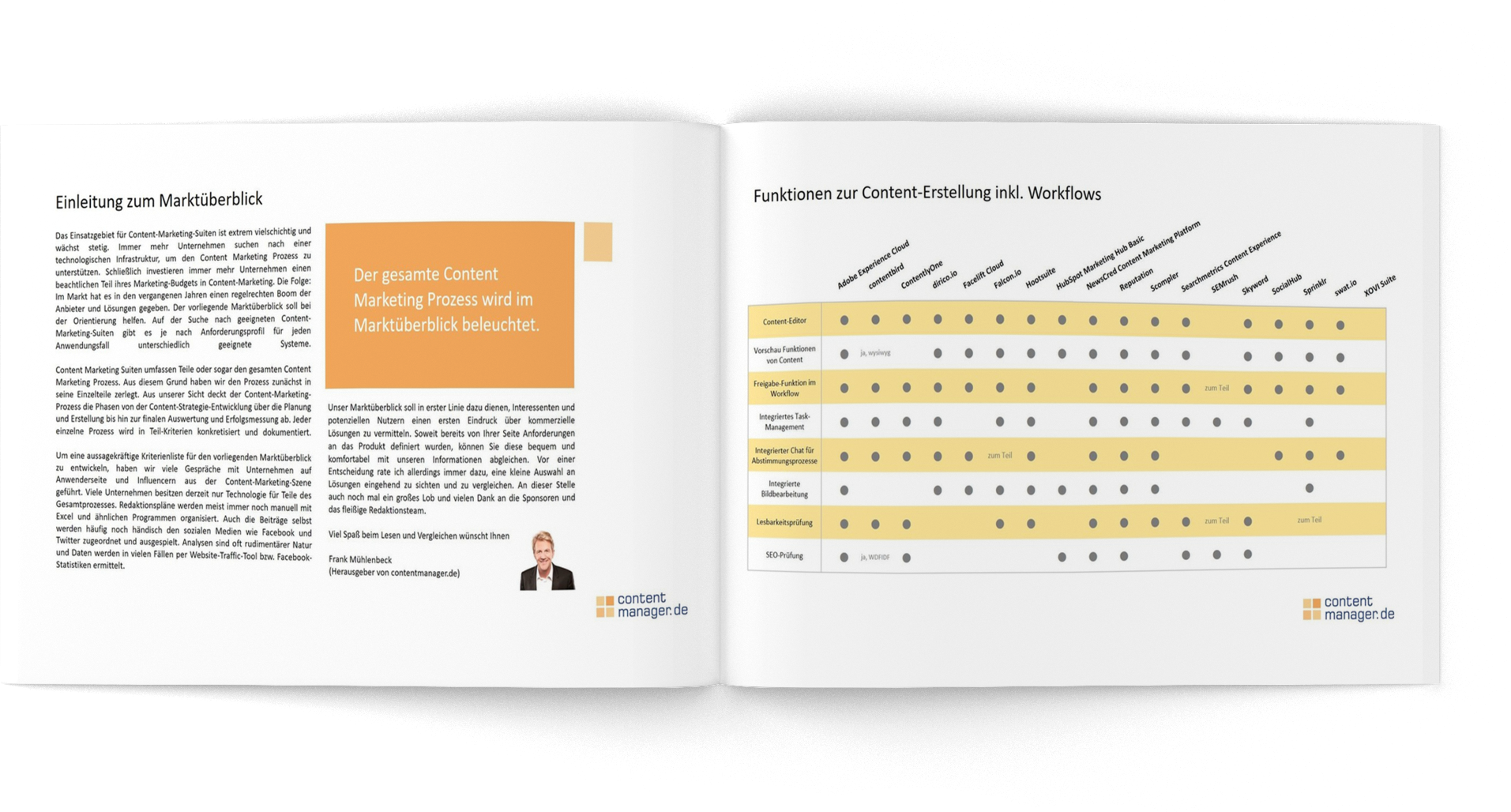 Screenshot des Marktüberblicks Content-Marketing-Suiten