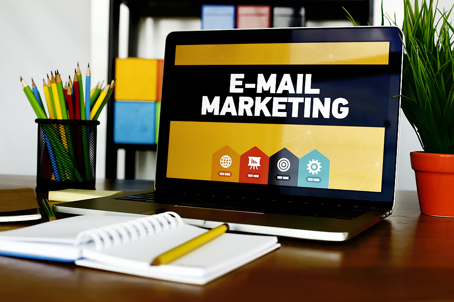 E-Mail Marketing Studie