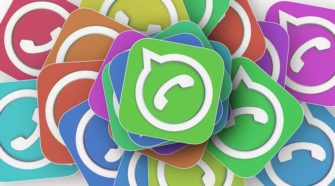 WhatsApp Newsletter Icon WhatsApp