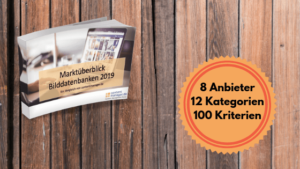 Vergleich Bilddatenbanken, Bilddatenbank