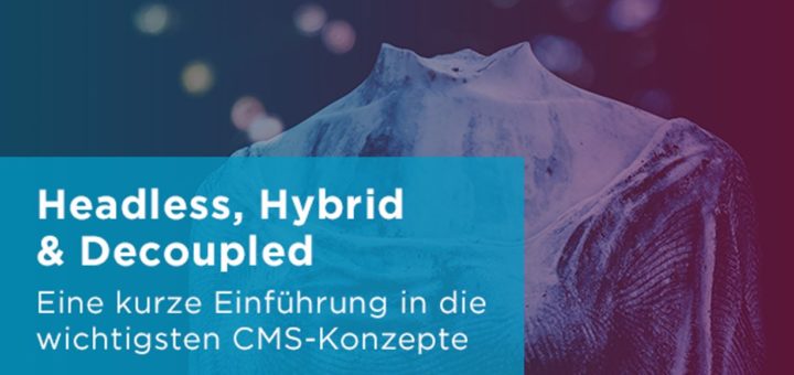 Banner mit folgendem Text: Headless, Hybrid & Decoupled – Kurze Einführung in die wichtigsten CMS-Konzepte