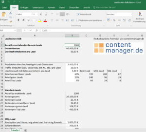 B2B Leads Kalkulationsformular Excel Screenshot