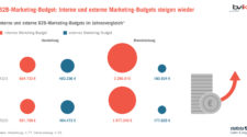 Screenshot B2B Marketing Budget Studie 2021 bvik