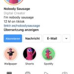 Instagram Profil von Nobodyssaucage