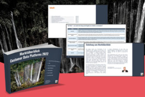CDP Software Teaser Marktüberblick contentmanager.de