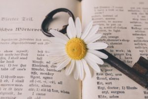 magische wörter buch mit schlüssel