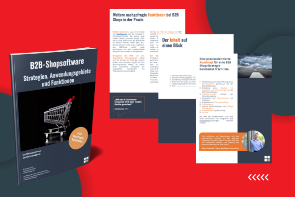 Übersicht Whitepaper B2B-Shopsoftware