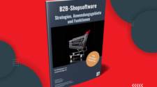 B2B Shop Strategie Whitepaper