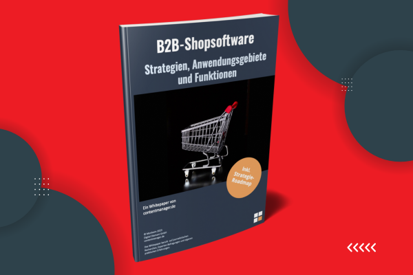 B2B Shop Strategie Whitepaper