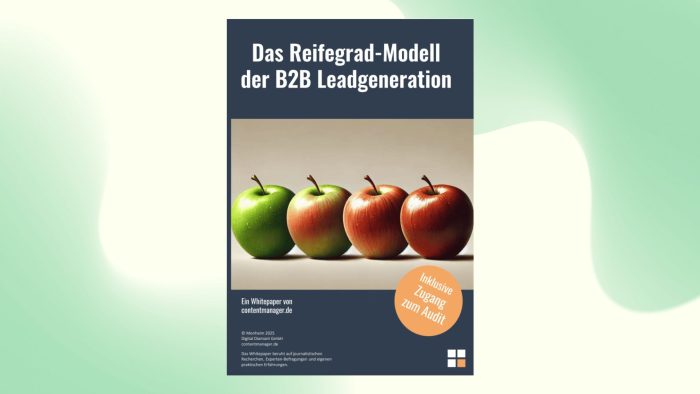 Reifegrad-Modell B2B Leadgenerierung