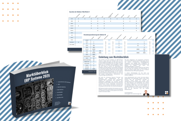 ERP MÜ Insights